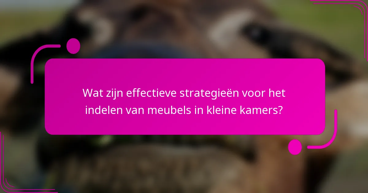 Wat zijn effectieve strategieën voor het indelen van meubels in kleine kamers?